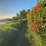 Guadeloupe St François lagon Savannah