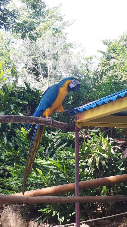 Guadeloupe St François Lagon Savannah Appartement