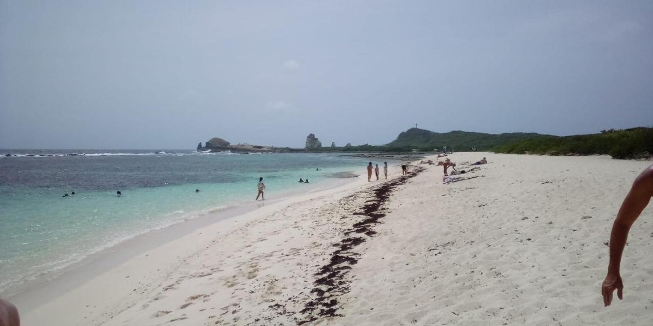 Guadeloupe St François Lagon Savannah *