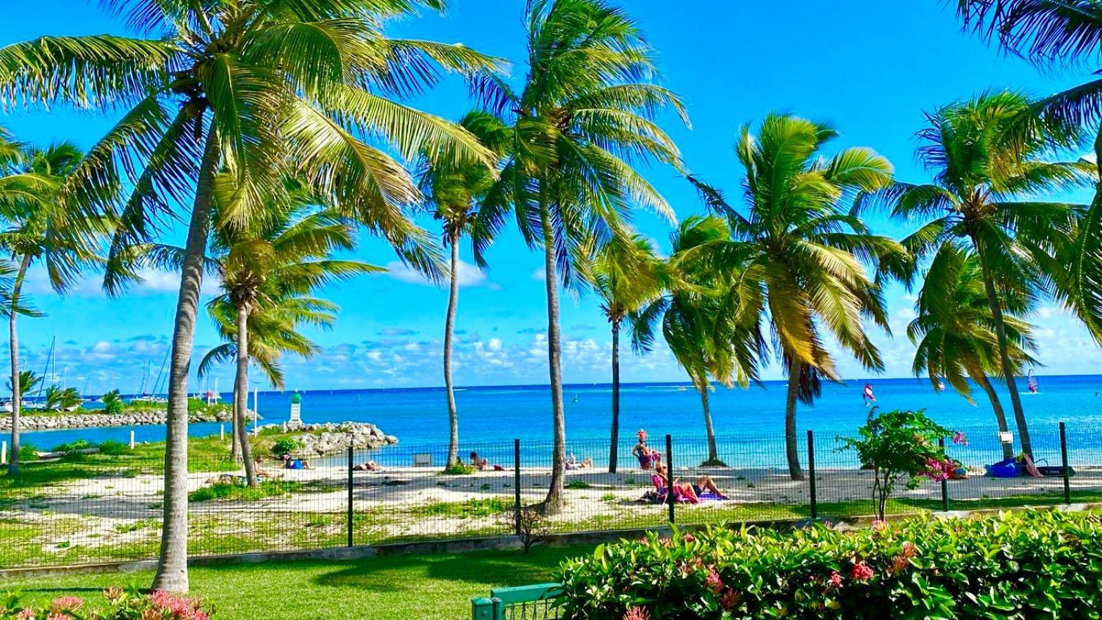 Guadeloupe St François Lagon Savannah Appartement